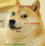什么是狗狗币（多吉币）？狗狗币初学者指南
