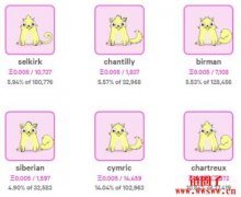 NFT的协议标准有哪些？