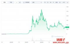 MATIC币介绍｜Polygon生态大爆发，投资、发展前景剖析