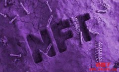 NFT是什么？NFT真的有价值吗？NFT真的死亡了吗？