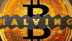 除了比特币外，2024年还有哪些加密货币即将减半