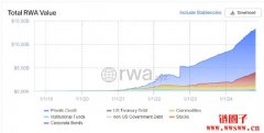 什么是RWA 概念？值得关注的RWA 项目盘点