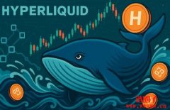 Hyperliquid链上巨鲸James Wynn是谁？12亿美元的高杠杆博弈