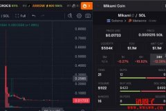 IPO是什么意思？一级市场筹资方式(