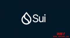 SUI的4.5亿美元加密国库行动:市场救